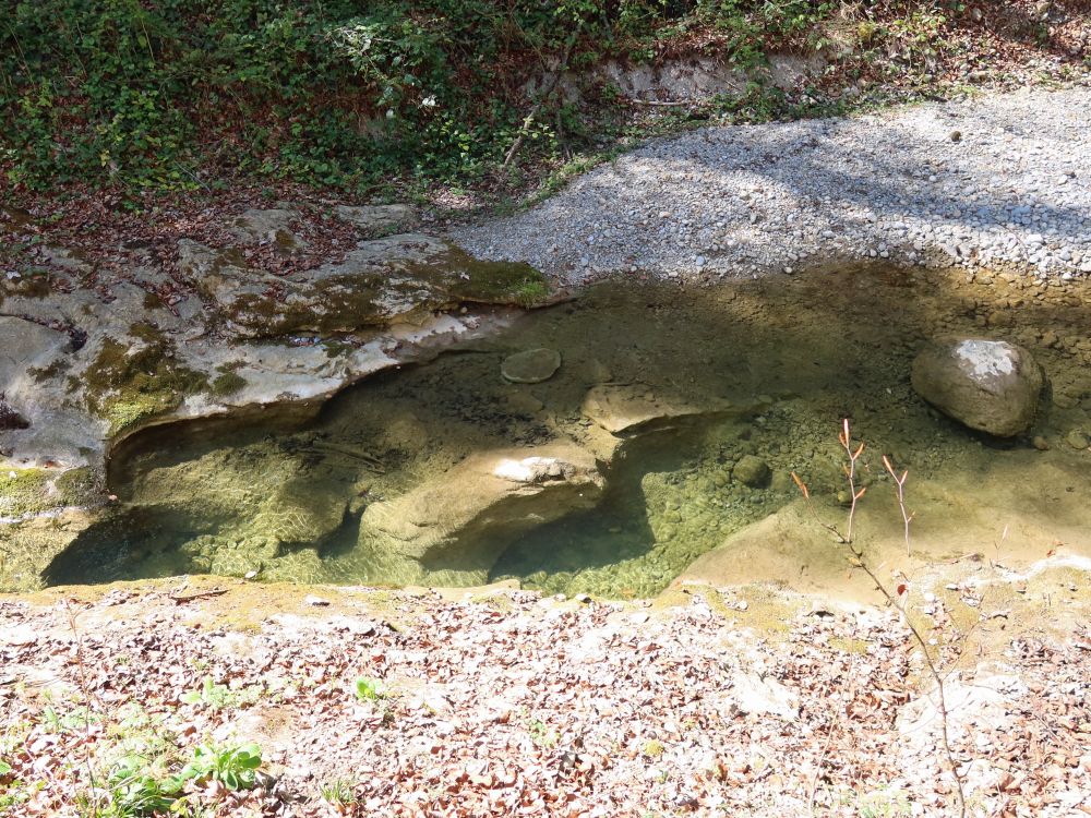 Wasserloch am Feldbach