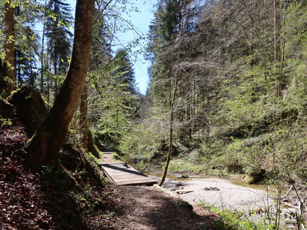 Steg am Feldbach