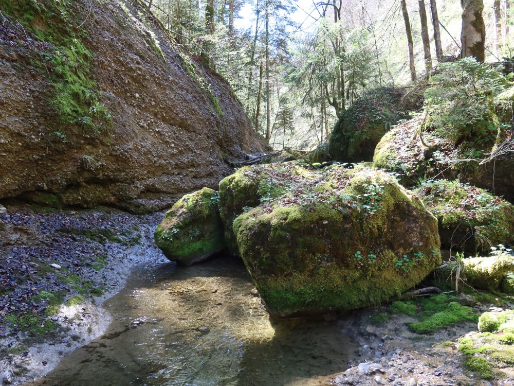 Fels am Feldbach