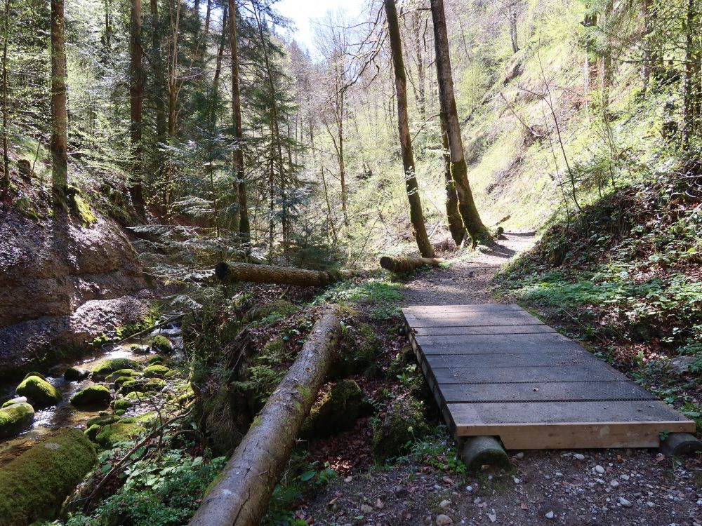 Steg am Feldbach