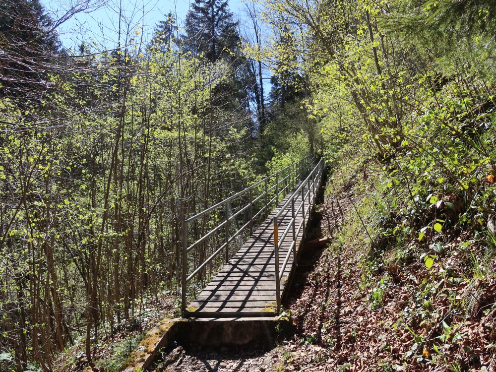 Steg am Feldbach