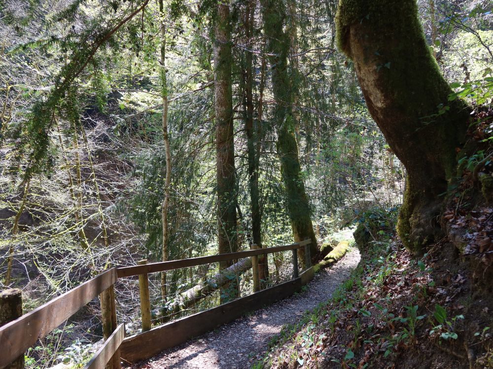 Feldbachweg