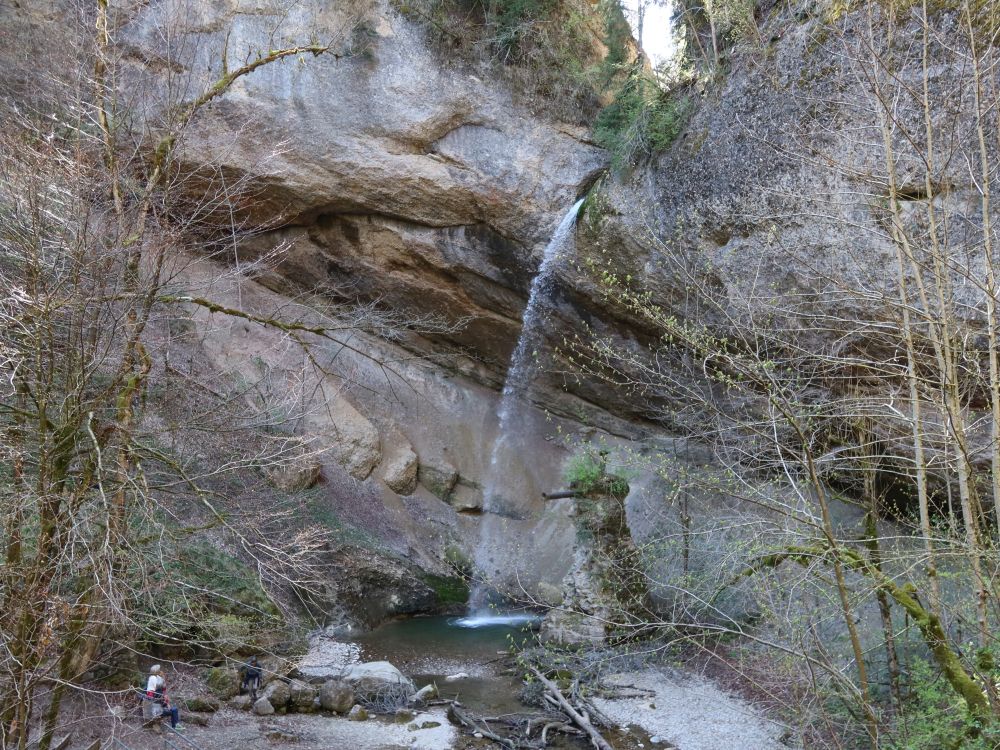 Feldbachfall