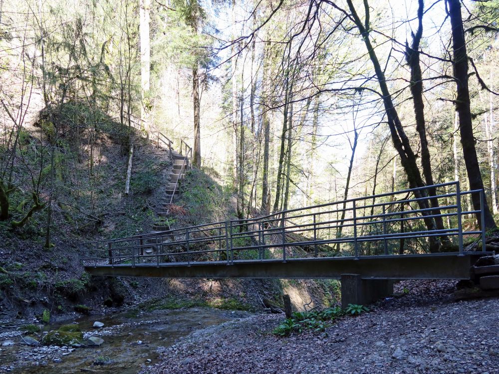 Steg am Feldbachfall