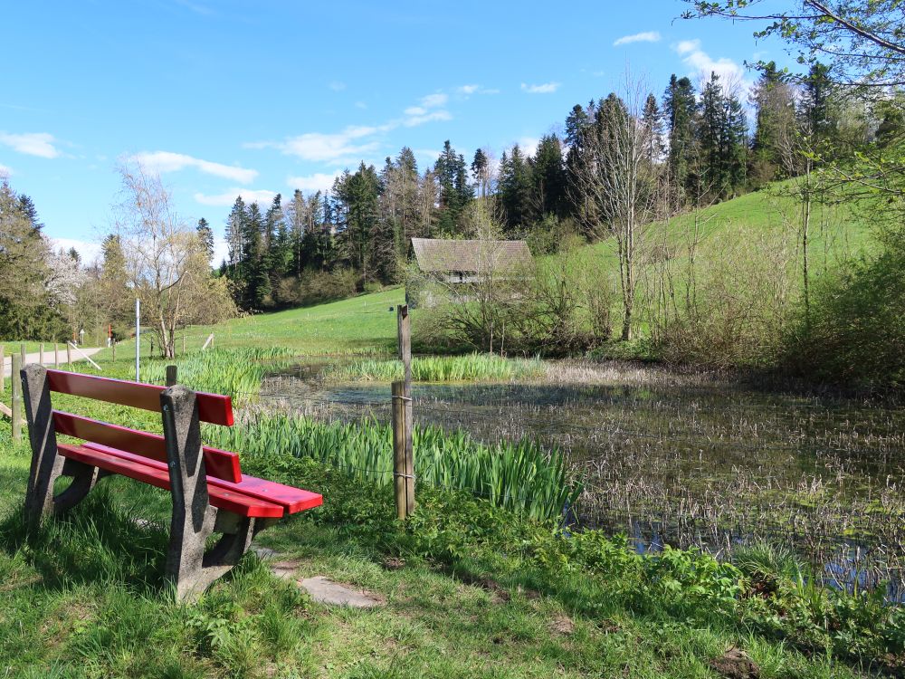 Teich bei Vorderes Loch