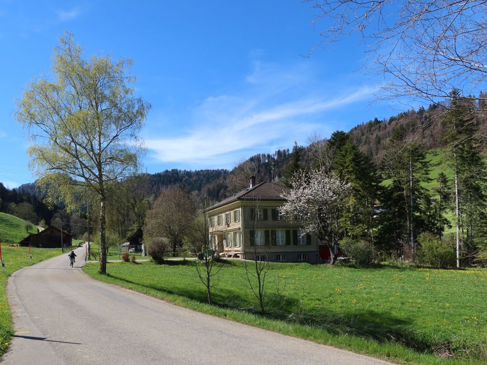 Schulhaus Steintal