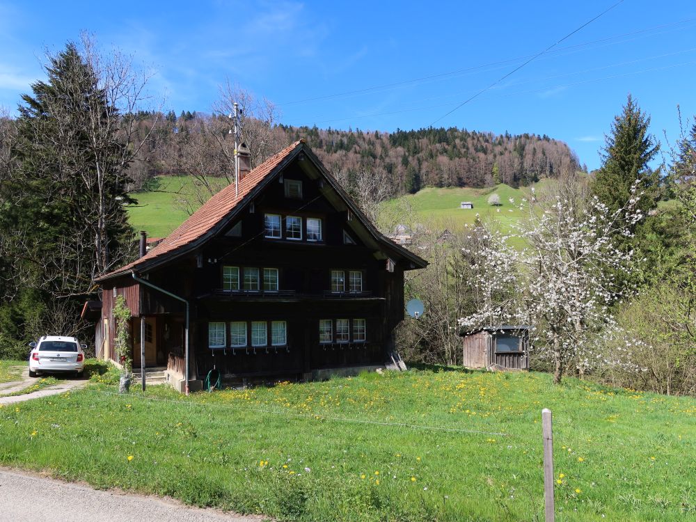 Haus im Steintal