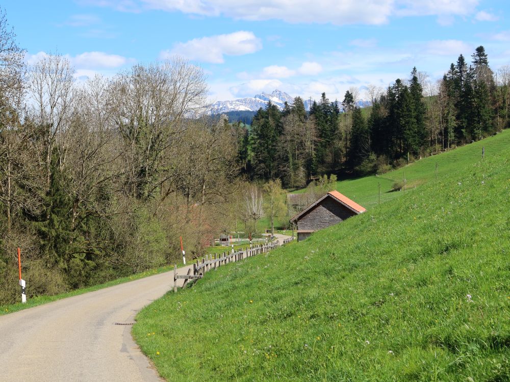 Blick Richtung Säntis