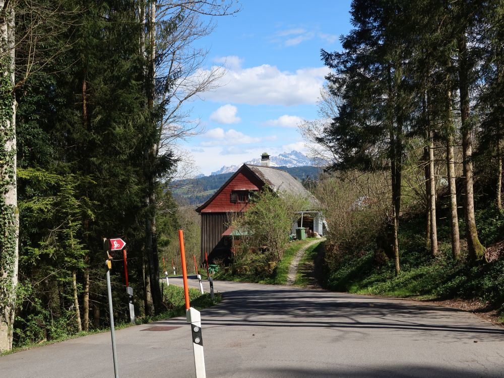 Rumpfstrasse und Säntis