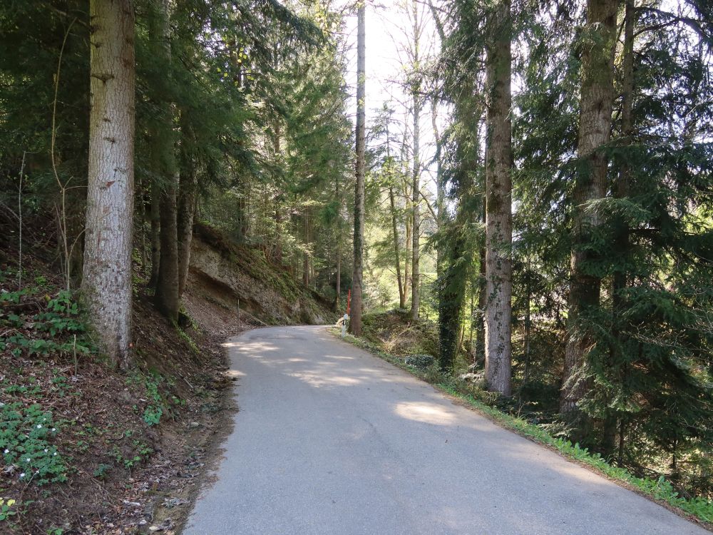 Rumpfstrasse