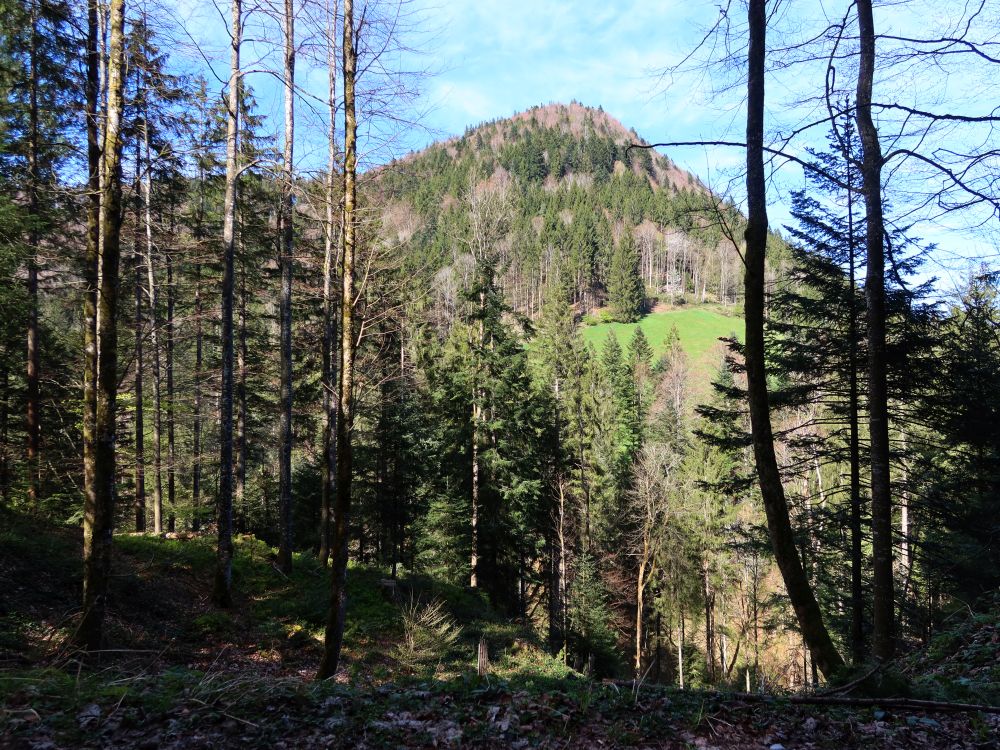 Geiss-Chopf