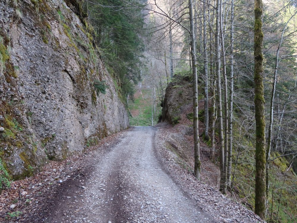 Chrüzeggstrasse