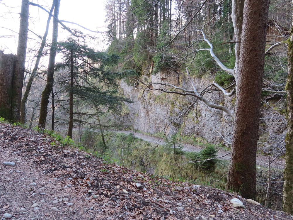 Chrüzeggstrasse an Felswand