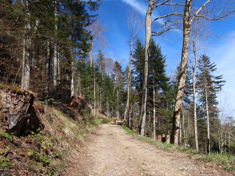 Chrüzeggstrasse