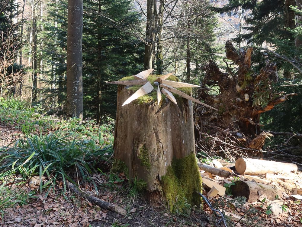 geschmückter Baumstumpf