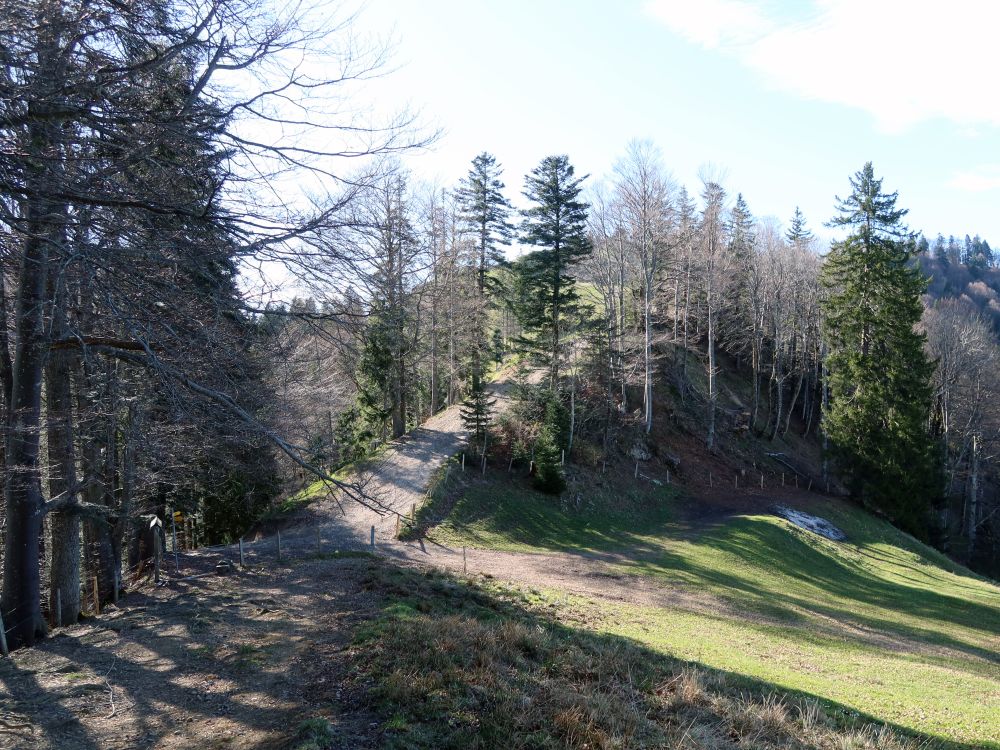 Holzweidsattel
