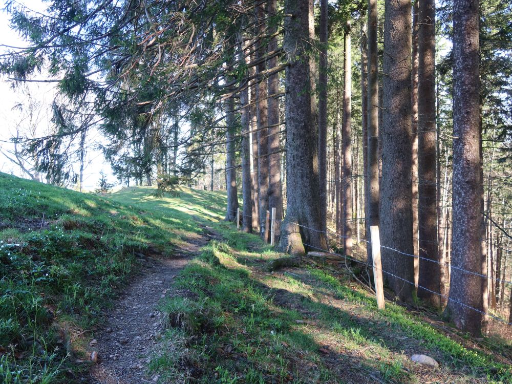 Geisschopfweg