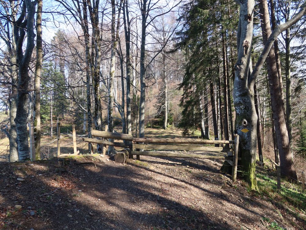 Gatter am Geisschopfweg