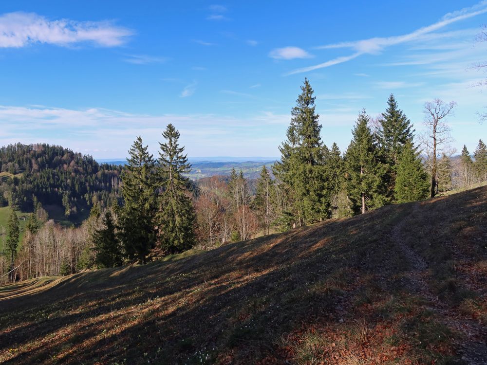 Bodensee am Horizont