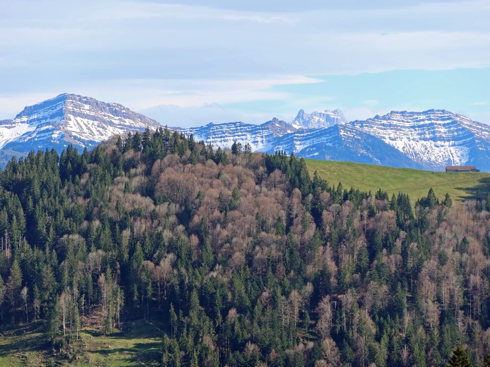 Speer, Mürtschenstock und Federispitze