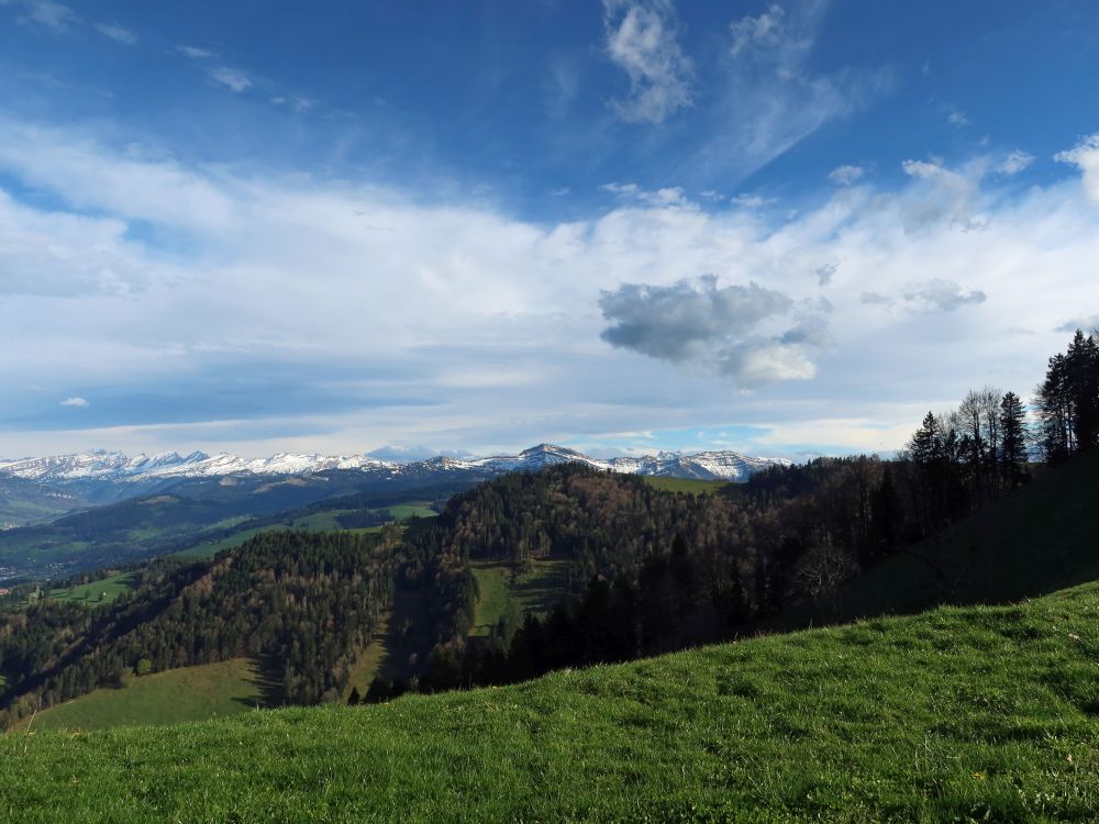 Churfirsten bis Federispitz