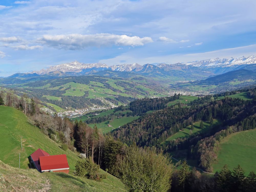 Blick ins Toggenburg