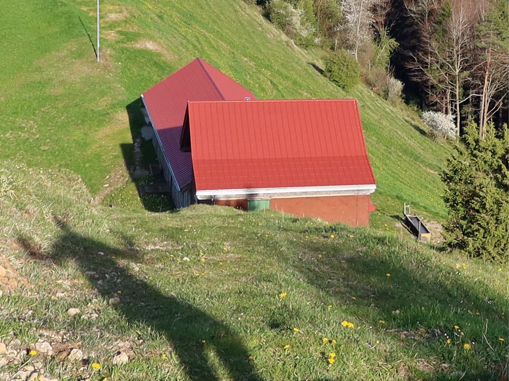 Schatten bei Alp Geiss-Chopf