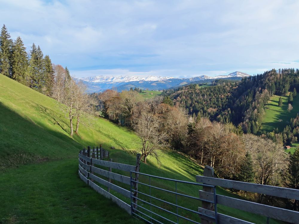Zaun bei Stämisegg