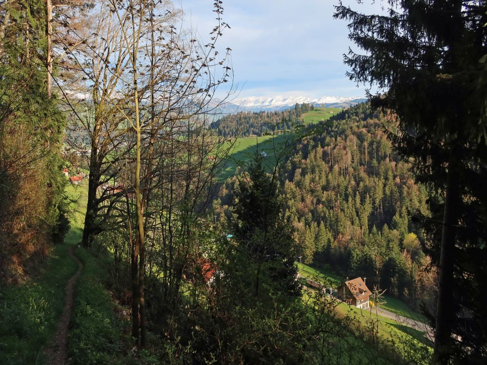 Churfirsten am Horizont