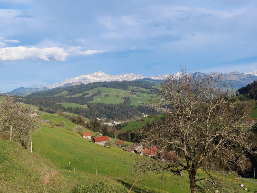 Säntis überm Steintal