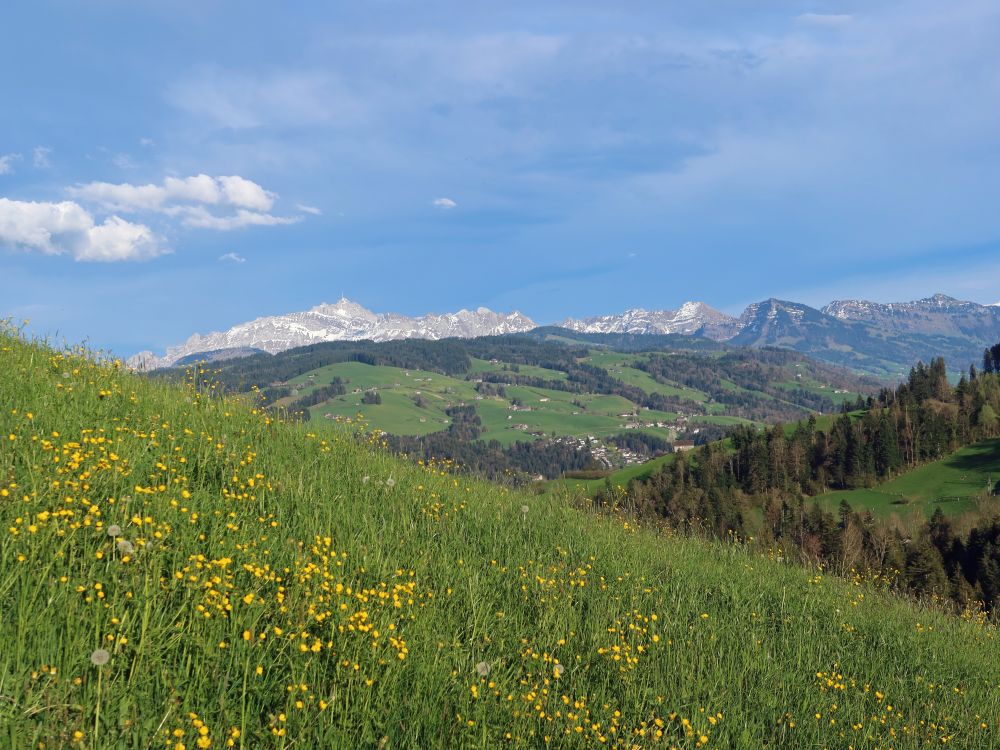 Säntis bis Neuenalpspitz