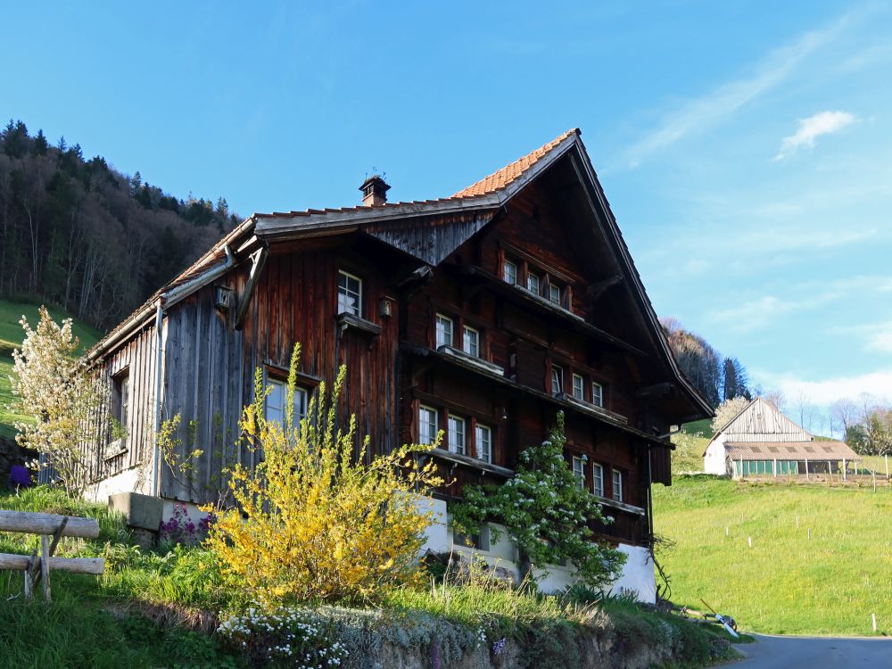 Haus in Steintal