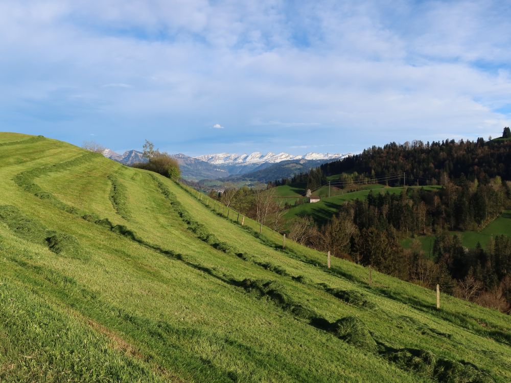 Heuernte und Churfirsten