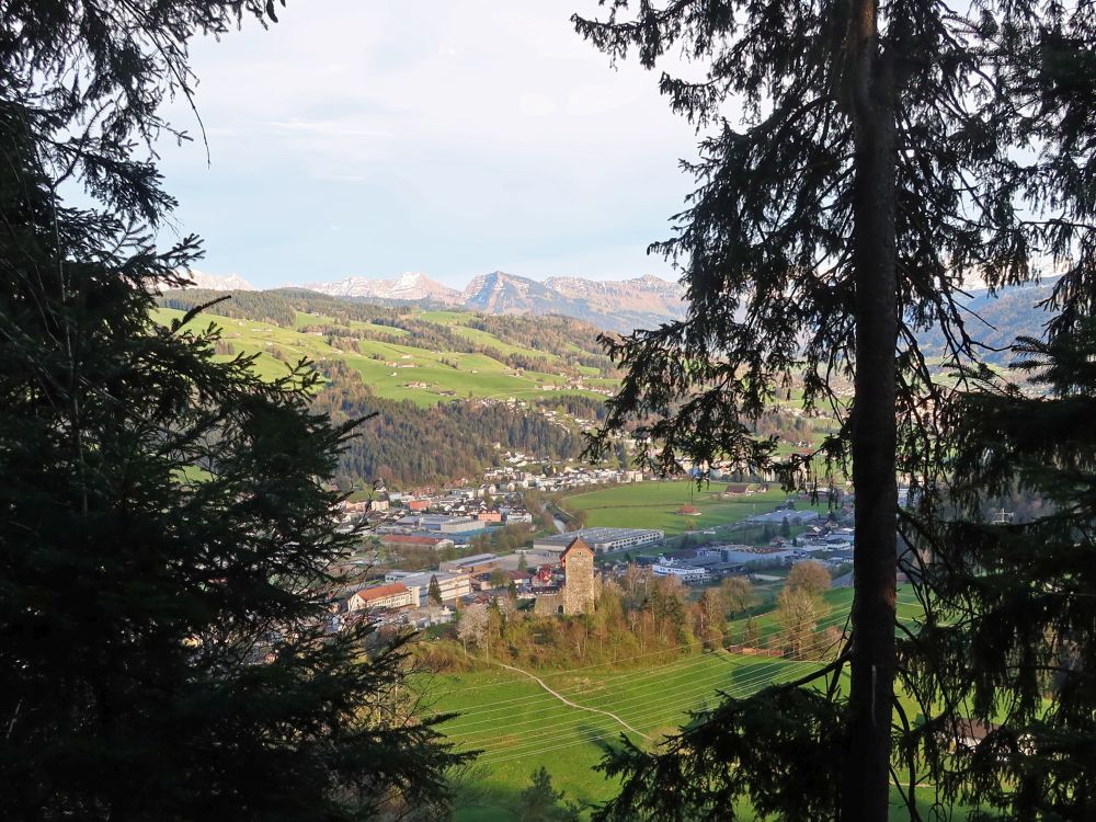 Wattwil mit Burg Iberg