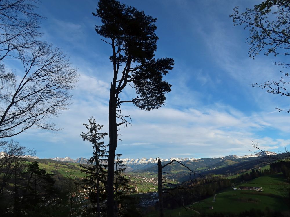 Blick Richtung Churfirsten