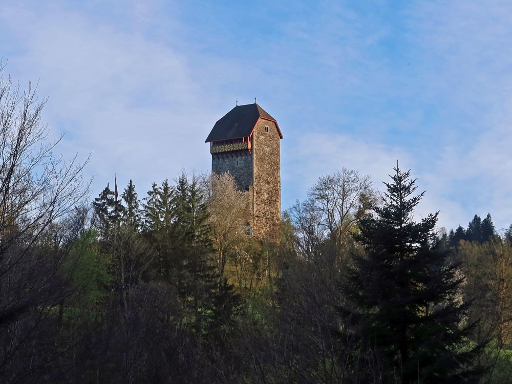 Burg Iberg
