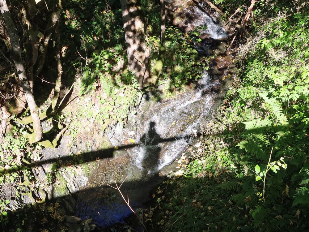 Schatten im Wasserfall