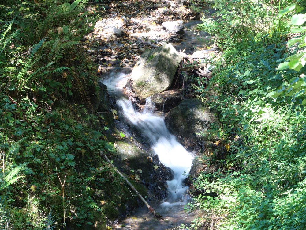 Wasserfall am Waldibach