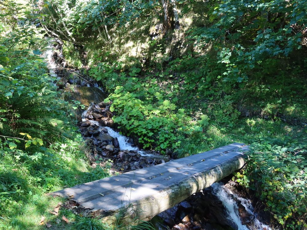 Holzsteg