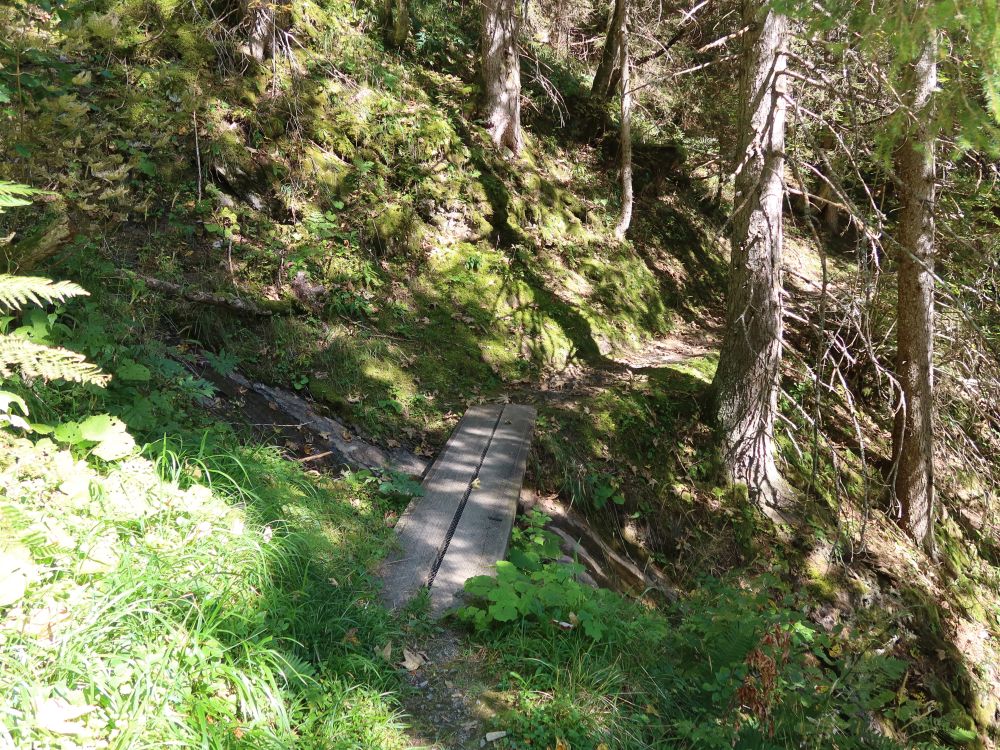 Holzsteg