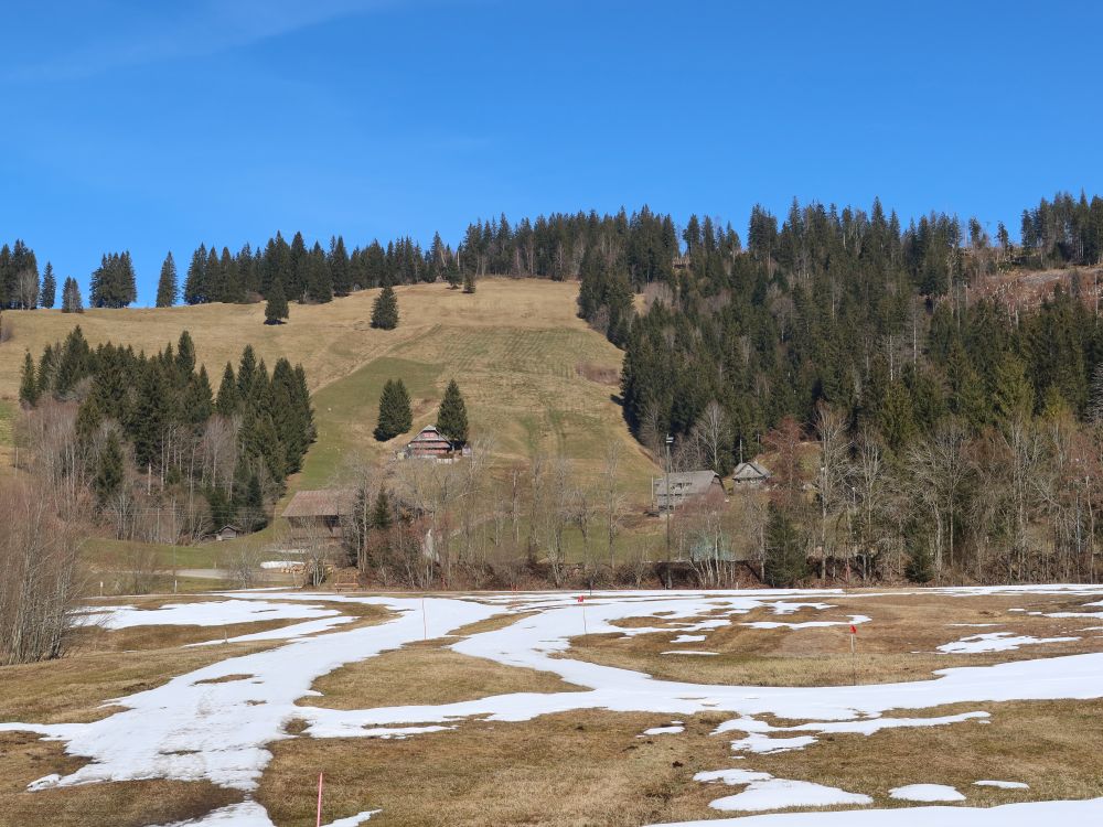 Schneereste am Nesslebrunnebode