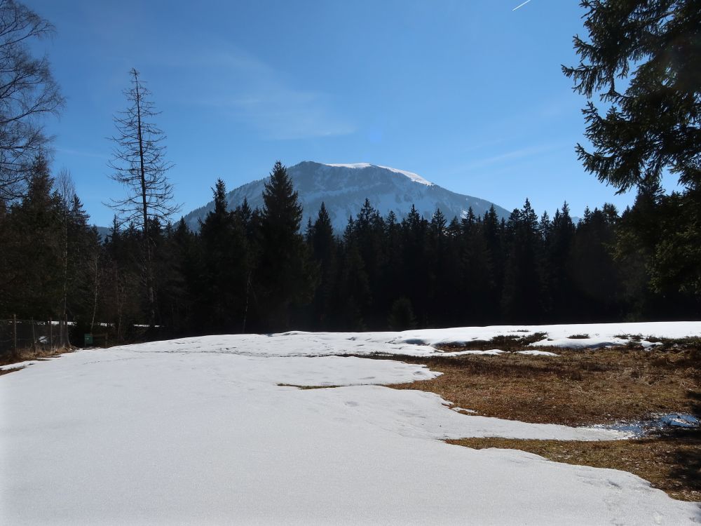 Hengst und Schimbrig