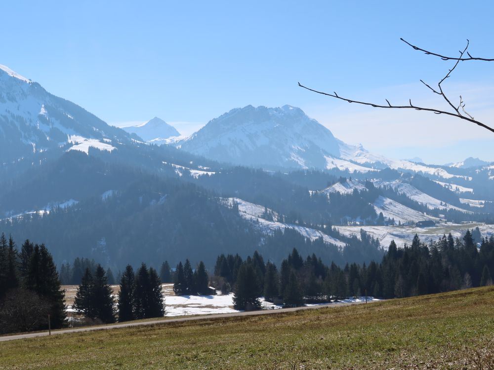 Fürstein und Schafmatt