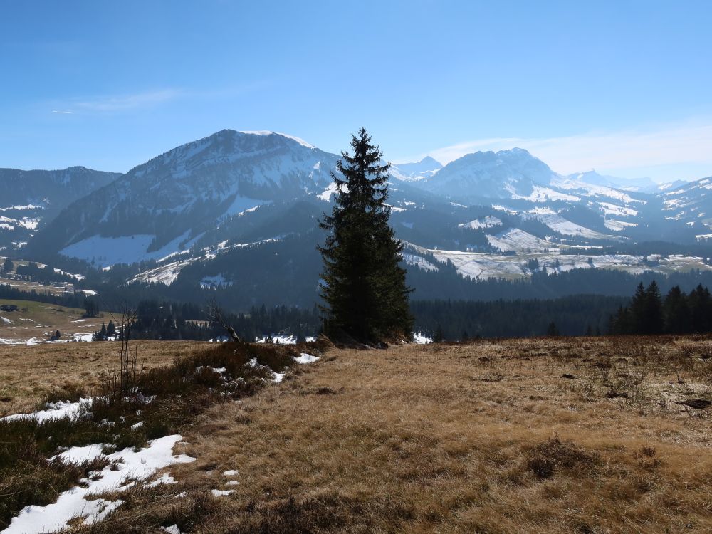 Hengst, Schimbrig, Fürstein und Schafmatt