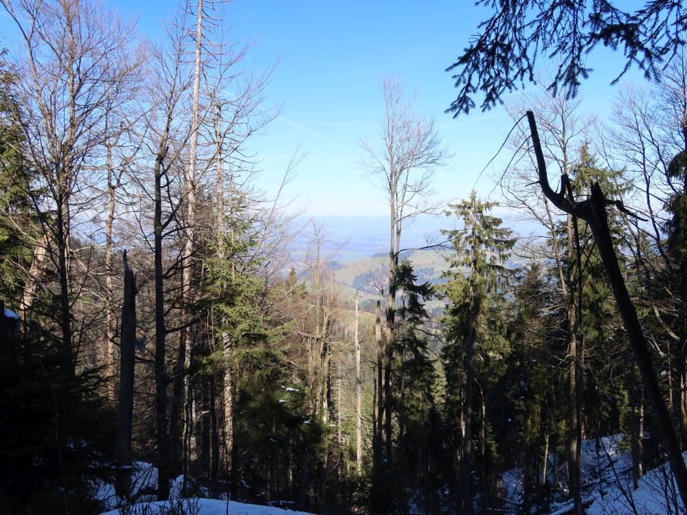 Blick vom Wissenegg