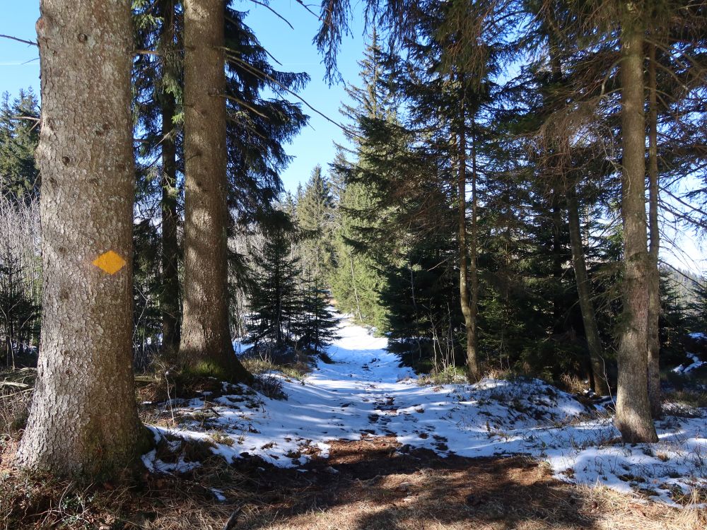 Pfad zwischen Wissenegg und Alpiliegg