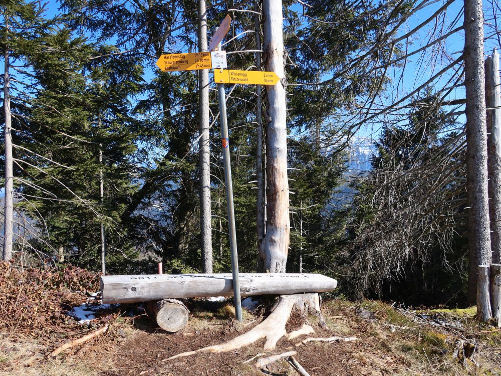 Sitzbank am Alpiliegg