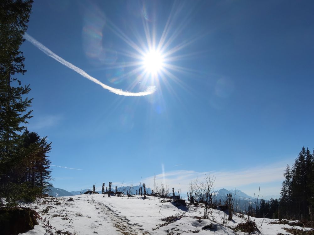 Sonne und Kondensstreifen