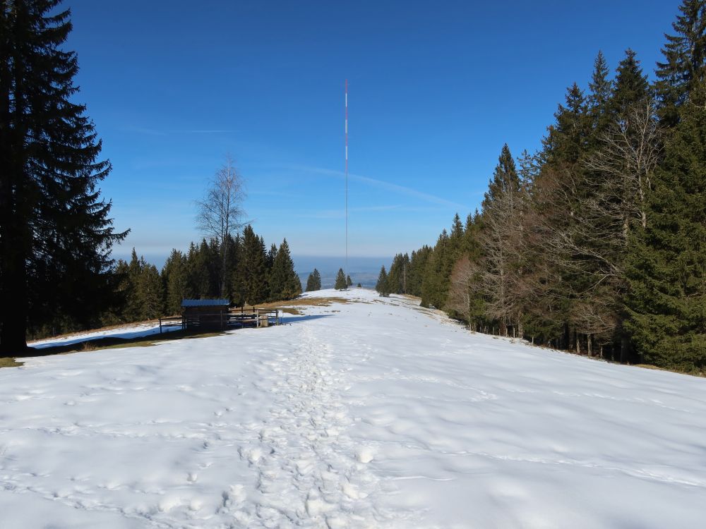 Funkmast am Vorderi Alpiliegg