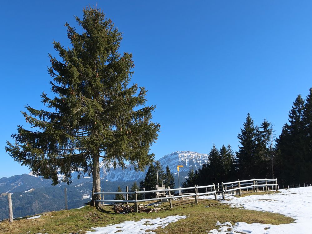 Grillplatz und Stäfeliflue